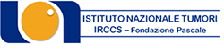 2_LOGO IRCCS